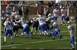 Huskies 085